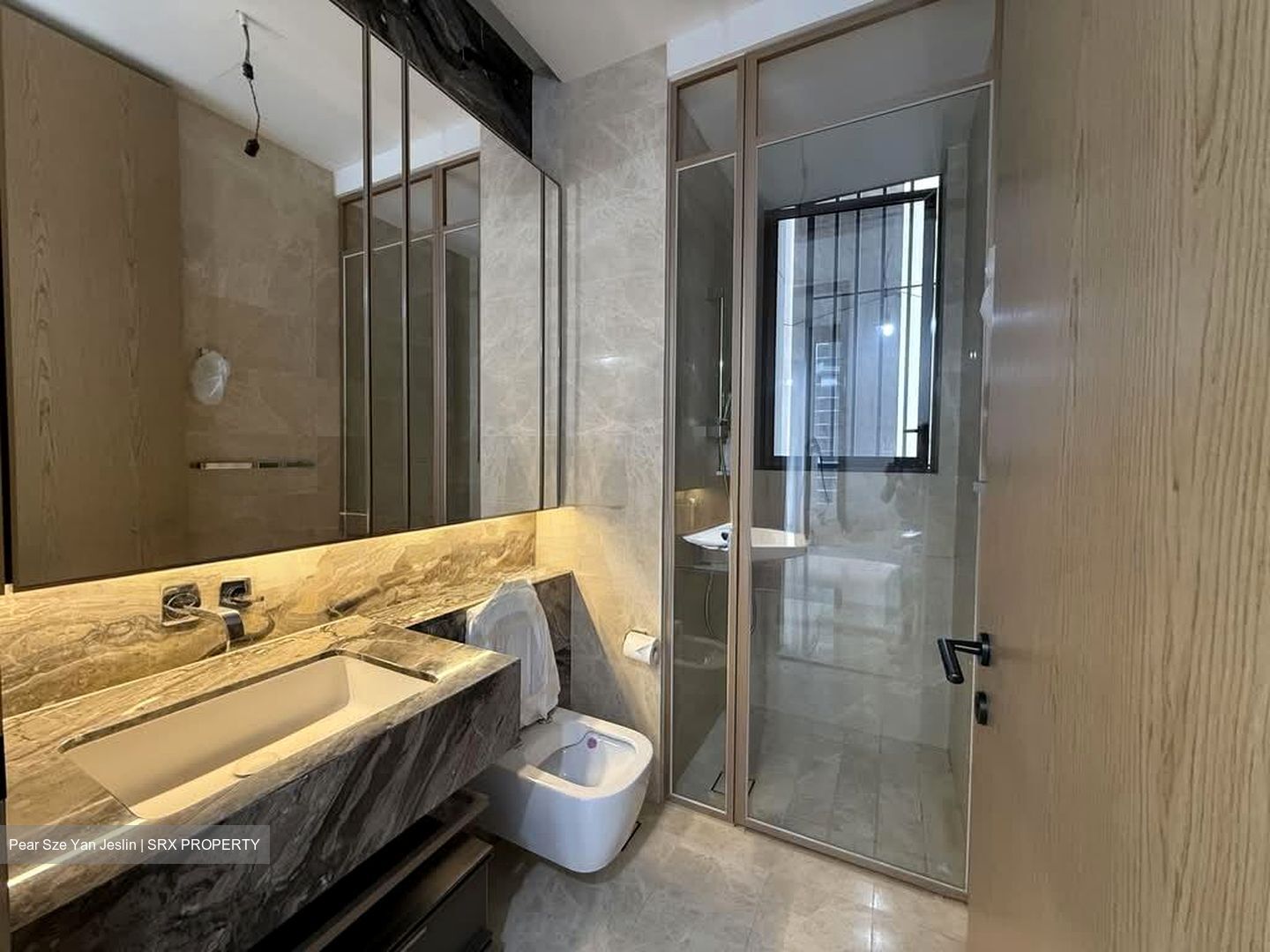 The Avenir (D9), Condominium #591886661